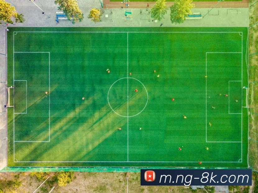 NG体育APP 封面图